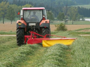 Zetor